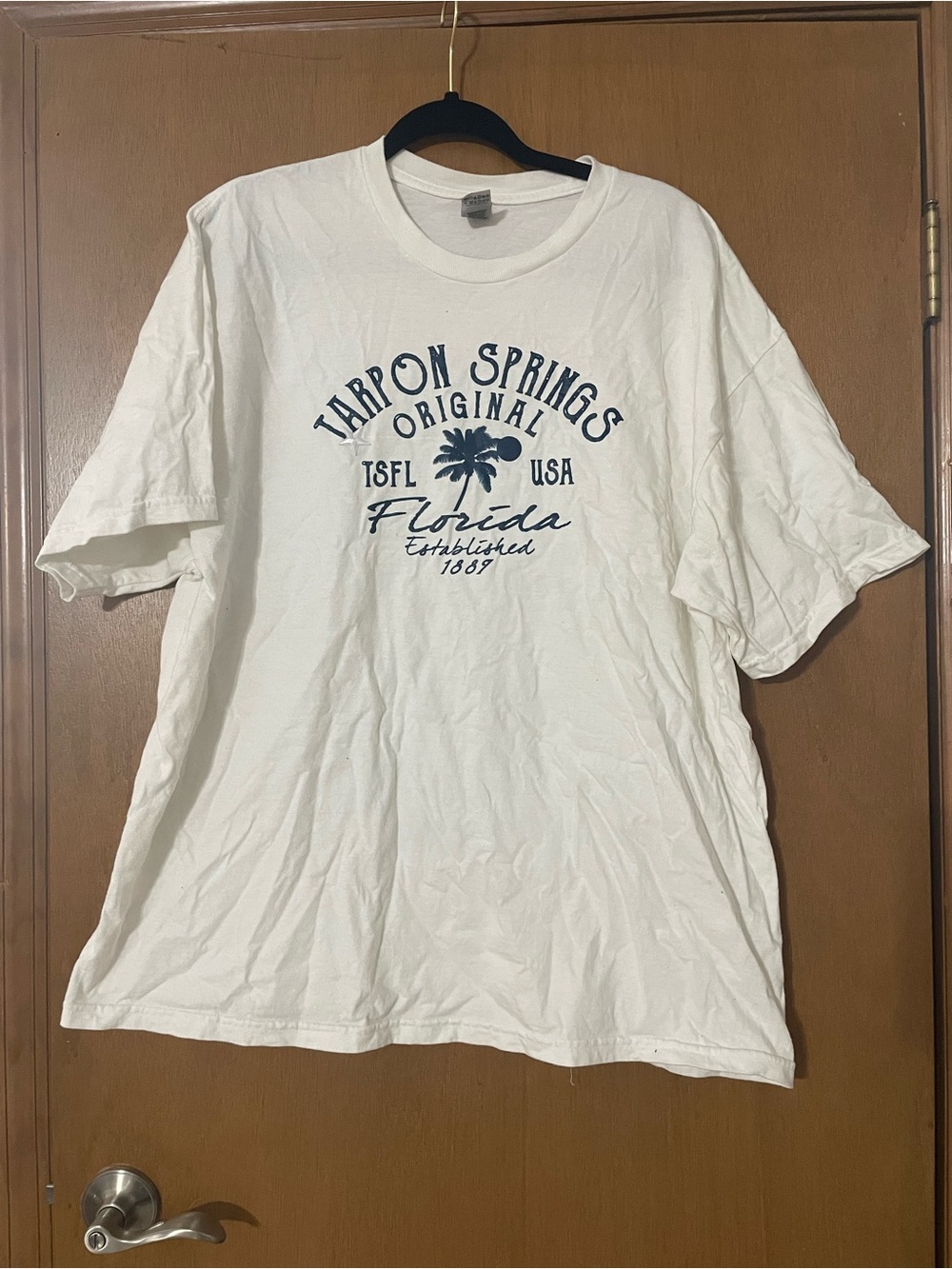 Gildan White Short Sleeve Tarpon Springs Florida Graphic Tee - Navy Print